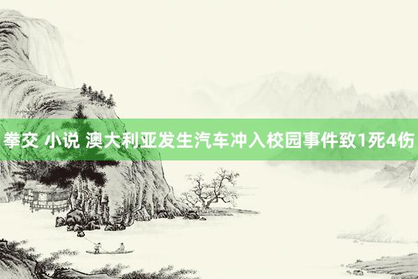 拳交 小说 澳大利亚发生汽车冲入校园事件致1死4伤