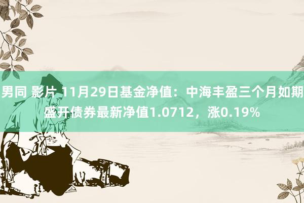 男同 影片 11月29日基金净值：中海丰盈三个月如期盛开债券最新净值1.0712，涨0.19%