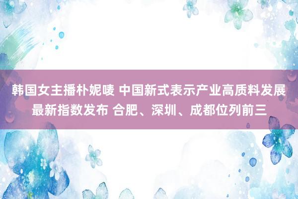 韩国女主播朴妮唛 中国新式表示产业高质料发展最新指数发布 合肥、深圳、成都位列前三