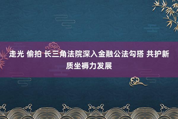 走光 偷拍 长三角法院深入金融公法勾搭 共护新质坐褥力发展