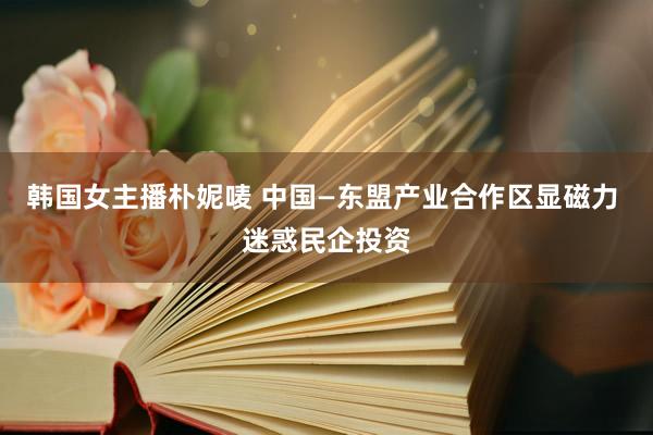 韩国女主播朴妮唛 中国—东盟产业合作区显磁力 迷惑民企投资