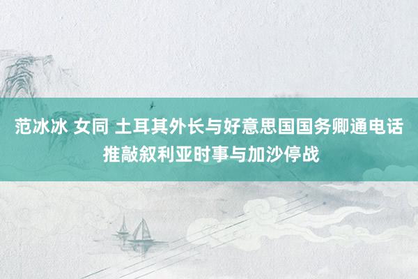 范冰冰 女同 土耳其外长与好意思国国务卿通电话 推敲叙利亚时事与加沙停战