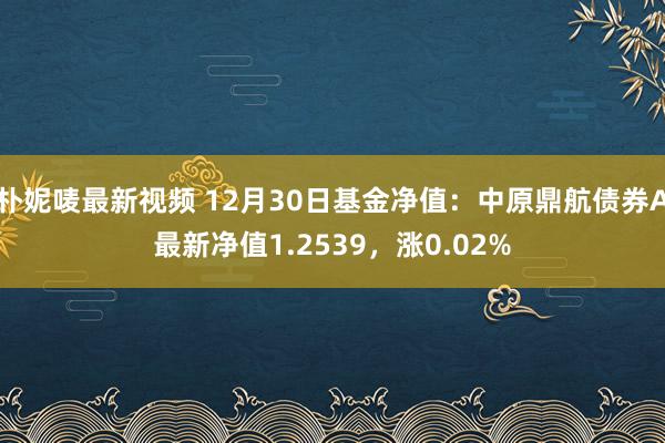 朴妮唛最新视频 12月30日基金净值：中原鼎航债券A最新净值1.2539，涨0.02%