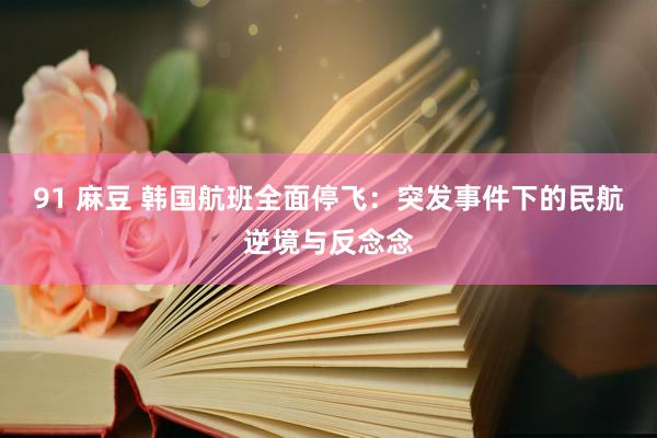 91 麻豆 韩国航班全面停飞：突发事件下的民航逆境与反念念