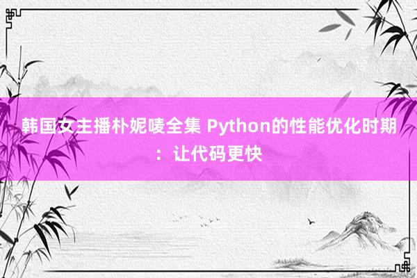 韩国女主播朴妮唛全集 Python的性能优化时期：让代码更快