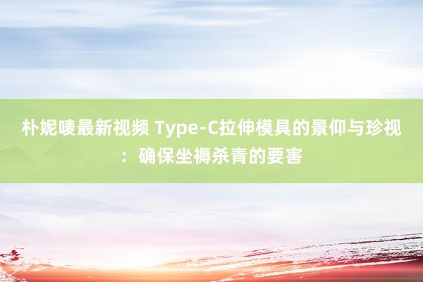 朴妮唛最新视频 Type-C拉伸模具的景仰与珍视：确保坐褥杀青的要害