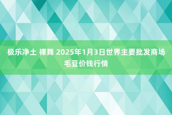 极乐净土 裸舞 2025年1月3日世界主要批发商场毛豆价钱行情