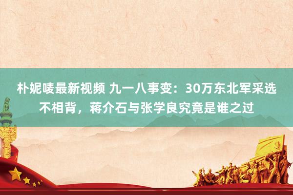 朴妮唛最新视频 九一八事变：30万东北军采选不相背，蒋介石与张学良究竟是谁之过