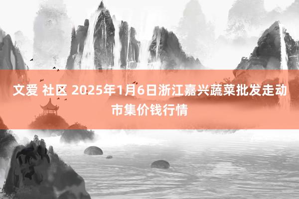 文爱 社区 2025年1月6日浙江嘉兴蔬菜批发走动市集价钱行情