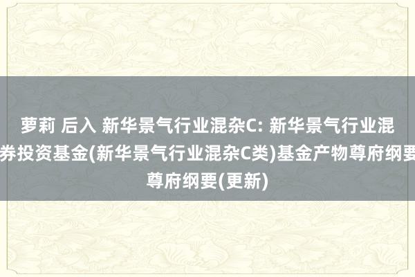 萝莉 后入 新华景气行业混杂C: 新华景气行业混杂型证券投资基金(新华景气行业混杂C类)基金产物尊府纲要(更新)