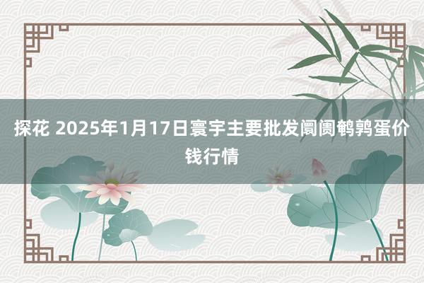 探花 2025年1月17日寰宇主要批发阛阓鹌鹑蛋价钱行情