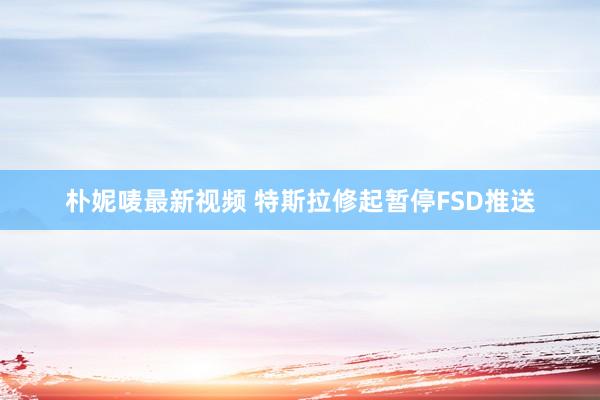 朴妮唛最新视频 特斯拉修起暂停FSD推送