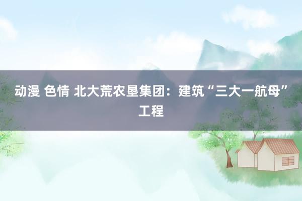 动漫 色情 北大荒农垦集团：建筑“三大一航母”工程