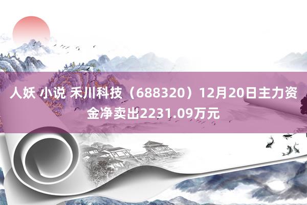 人妖 小说 禾川科技（688320）12月20日主力资金净卖出2231.09万元