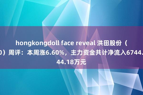 hongkongdoll face reveal 洪田股份（603800）周评：本周涨6.60%，主力资金共计净流入6744.18万元