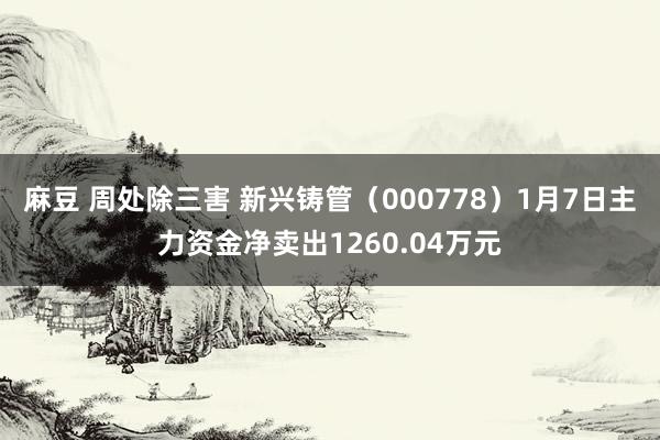 麻豆 周处除三害 新兴铸管（000778）1月7日主力资金净卖出1260.04万元