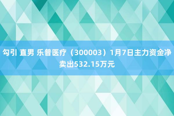 勾引 直男 乐普医疗（300003）1月7日主力资金净卖出532.15万元