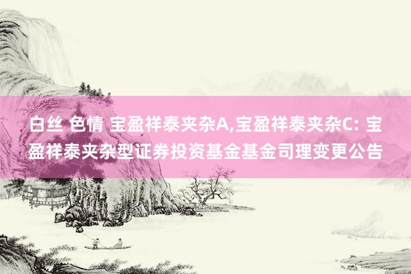 白丝 色情 宝盈祥泰夹杂A,宝盈祥泰夹杂C: 宝盈祥泰夹杂型证券投资基金基金司理变更公告