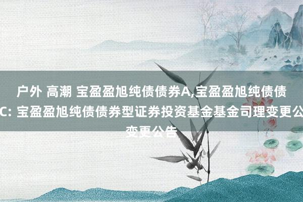 户外 高潮 宝盈盈旭纯债债券A,宝盈盈旭纯债债券C: 宝盈盈旭纯债债券型证券投资基金基金司理变更公告