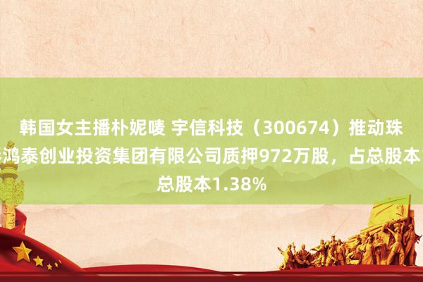 韩国女主播朴妮唛 宇信科技（300674）推动珠海宇琴鸿泰创业投资集团有限公司质押972万股，占总股本1.38%