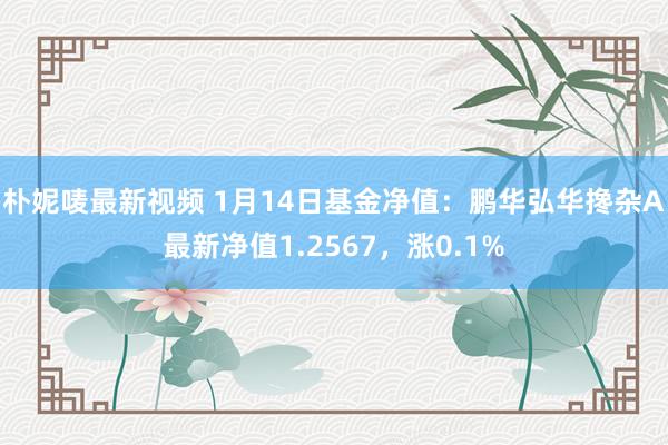 朴妮唛最新视频 1月14日基金净值：鹏华弘华搀杂A最新净值1.2567，涨0.1%