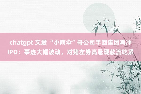 chatgpt 文爱 “小雨伞”母公司手回集团再冲IPO：事迹大幅波动，对赌左券高悬现款流吃紧